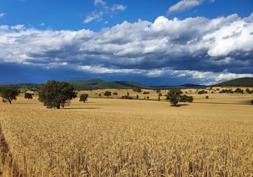 Kurrajong Valley, 23 Wild Lane Parkes NSW 2870 - Image 1