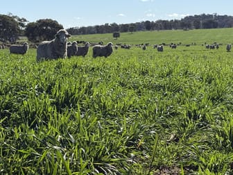 Kurrajong Valley, 23 Wild Lane Parkes NSW 2870 - Image 2