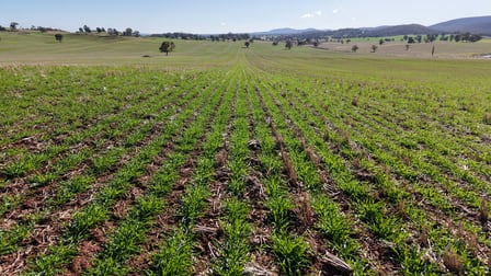 Kurrajong Valley, 23 Wild Lane Parkes NSW 2870 - Image 3