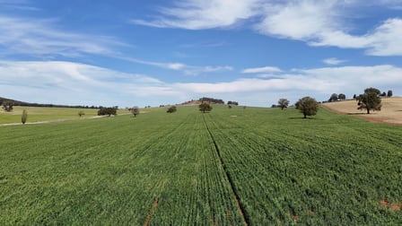 Kurrajong Valley, 23 Wild Lane Parkes NSW 2870 - Image 1