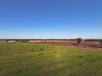 96 Murdoch Road Fairy Dell VIC 3561 - Image 1