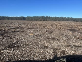 2465 Middleton Road Northcliffe WA 6262 - Image 2