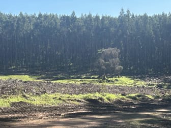 2465 Middleton Road Northcliffe WA 6262 - Image 3