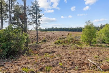 Coalfields Road Roelands WA 6226 - Image 3