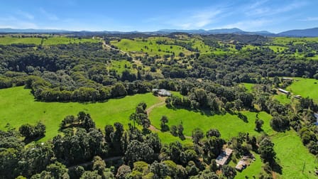 105 Mahoney Road Millaa Millaa QLD 4886 - Image 1