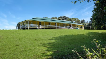 105 Mahoney Road Millaa Millaa QLD 4886 - Image 2