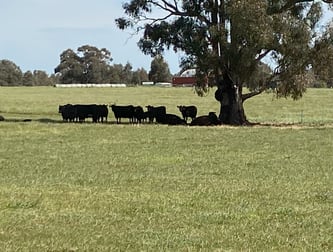 Lot 14 Browne Lane Muskerry VIC 3557 - Image 2