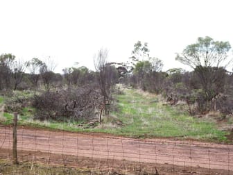 857 Dwelyerdine Road Toolibin WA 6312 - Image 2