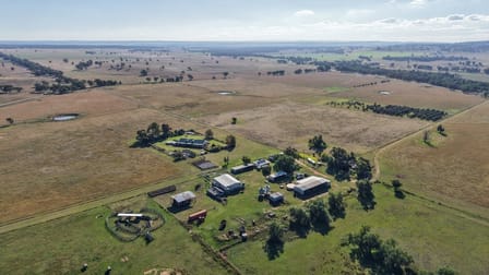 3761 Neilrex Road Neilrex NSW 2831 - Image 1