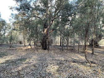 Campbells Island Road Barham NSW 2732 - Image 3