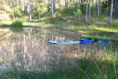 917 Old Lawrence Road Deep Creek NSW 2469 - Image 1
