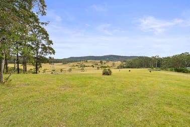 1742 Wooli Road Pillar Valley NSW 2462 - Image 3