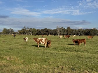 Millears Road Deniliquin NSW 2710 - Image 2