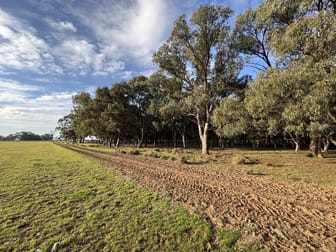 Millears Road Deniliquin NSW 2710 - Image 3