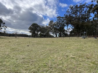 # Coopers Road Red Range NSW 2370 - Image 3