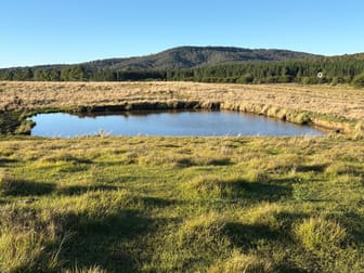 1556 Old Lawrence Road Deep Creek NSW 2469 - Image 1