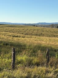 1556 Old Lawrence Road Deep Creek NSW 2469 - Image 2