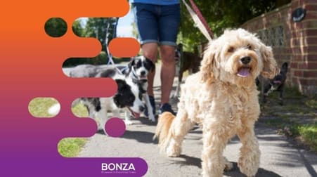 Animal Related  business for sale in Marrickville - Image 3
