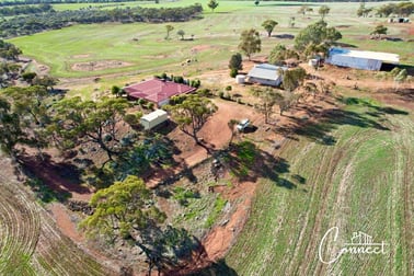 Haddrill Road Jennapullin WA 6401 - Image 2