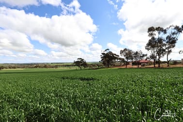 Haddrill Road Jennapullin WA 6401 - Image 3