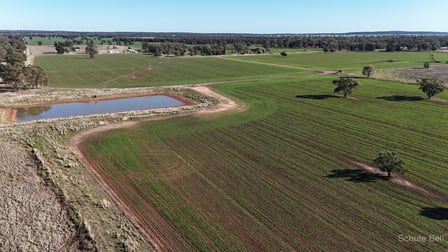 195 Curra Lane Peak Hill NSW 2869 - Image 2