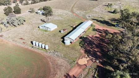195 Curra Lane Peak Hill NSW 2869 - Image 3