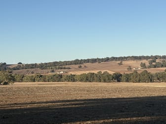 342 Badgingarra Road Dandaragan WA 6507 - Image 2