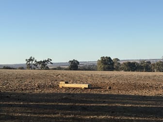 342 Badgingarra Road Dandaragan WA 6507 - Image 3