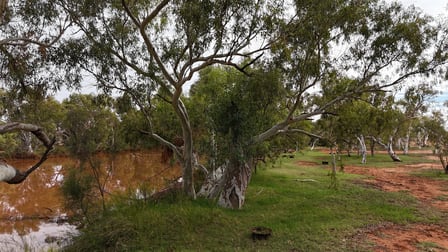 Emu Creek Station Yannarie WA 6710 - Image 2