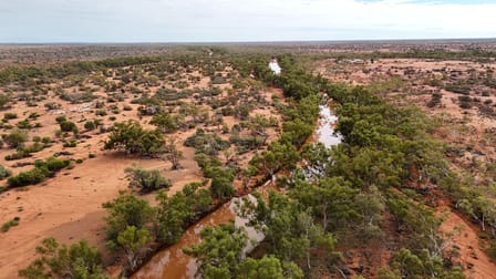 Emu Creek Station Yannarie WA 6710 - Image 3