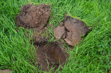 Click to view all images 260 Burns Munn Road Edenhope VIC 3318 - Image 1