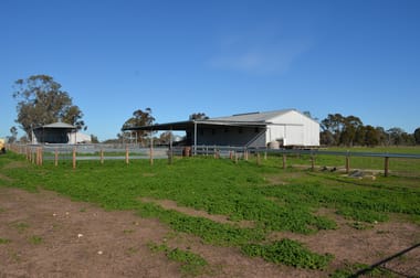 260 Burns Munn Road Edenhope VIC 3318 - Image 3