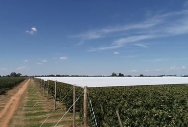 V2065 . Melbourne VIC 3000 - Image 2