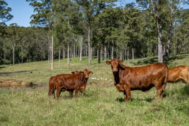 265 Storrs Road Peachester QLD 4519 - Image 1