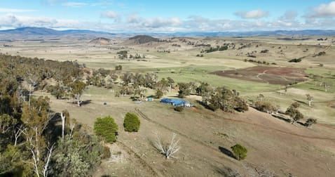 344B Dyer Access Road Benambra VIC 3900 - Image 1