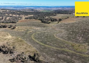 600 Blyths Lane Inverell NSW 2360 - Image 1