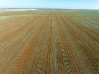 631 Barragunda Road Urana NSW 2645 - Image 2