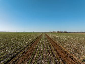 631 Barragunda Road Urana NSW 2645 - Image 3