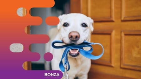 Animal Related  business for sale in Hurstville - Image 1