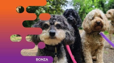 Animal Related  business for sale in Hurstville - Image 2