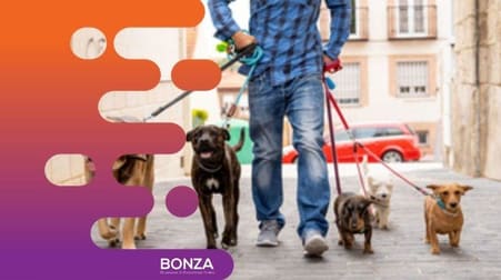 Animal Related  business for sale in Hurstville - Image 3