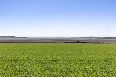 61 Telford Road Biddeston QLD 4401 - Image 2