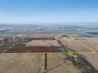 61 Telford Road Biddeston QLD 4401 - Image 3