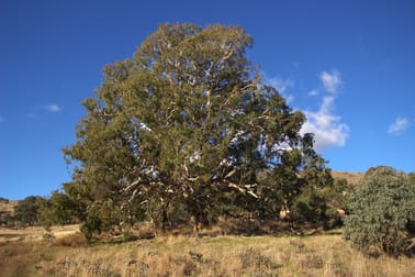 355 Gallymont Road Mandurama NSW 2792 - Image 1