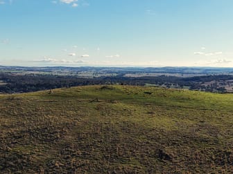 355 Gallymont Road Mandurama NSW 2792 - Image 3