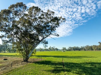 2594 Bedgerabong Road Forbes NSW 2871 - Image 1