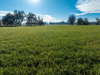 2594 Bedgerabong Road Forbes NSW 2871 - Image 3