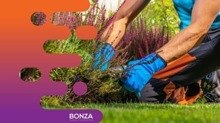 Gardening  business for sale in Palm Beach - Image 2