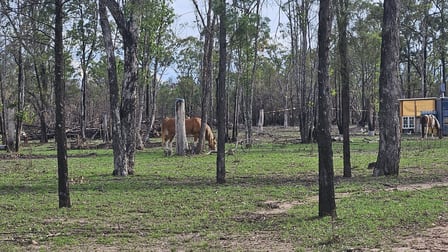 87 Emu Parade Tara QLD 4421 - Image 2