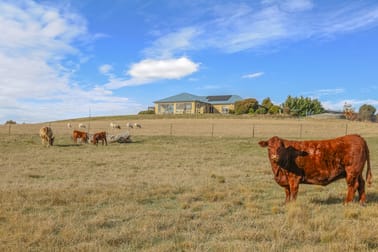 1525 Trunkey Road Georges Plains NSW 2795 - Image 1